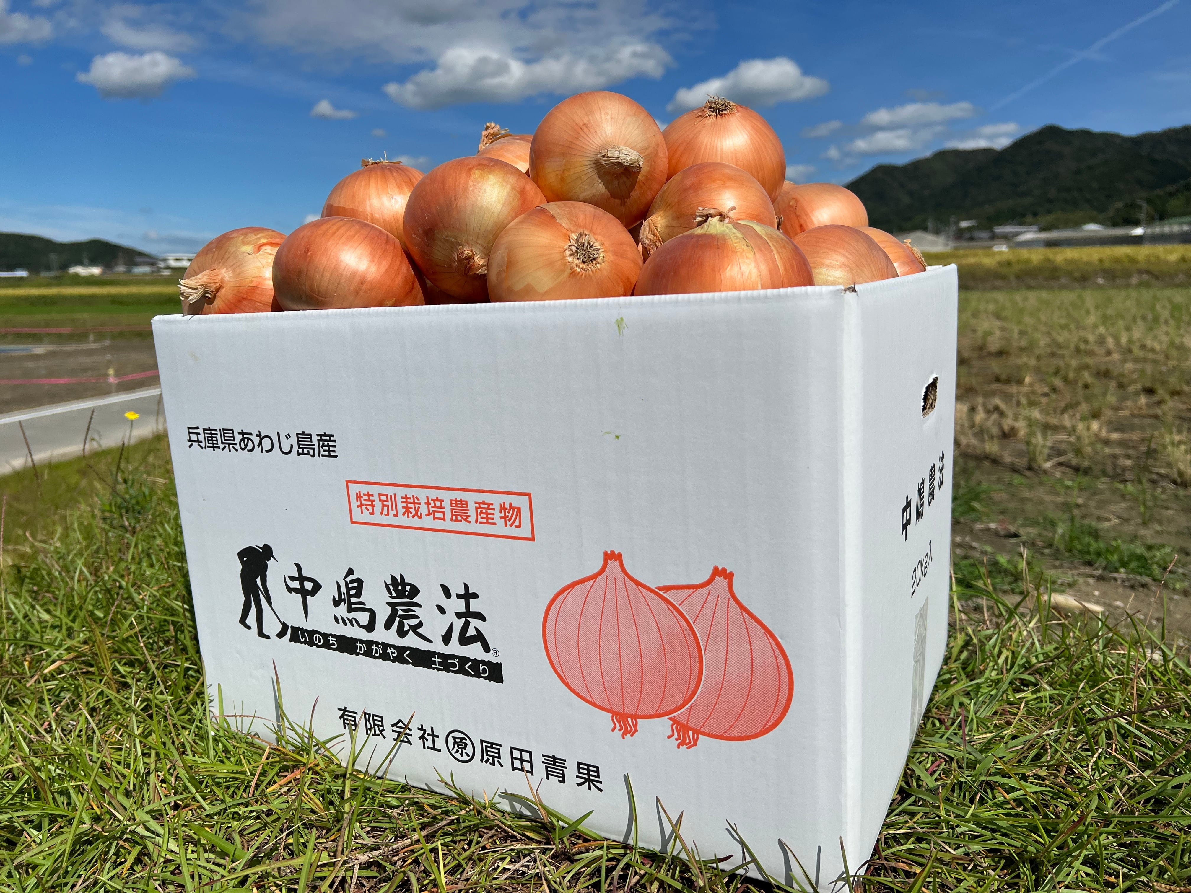 一番玉葱定期便】20kgコース：1ヶ月に1回お届け 送料込み | 原田