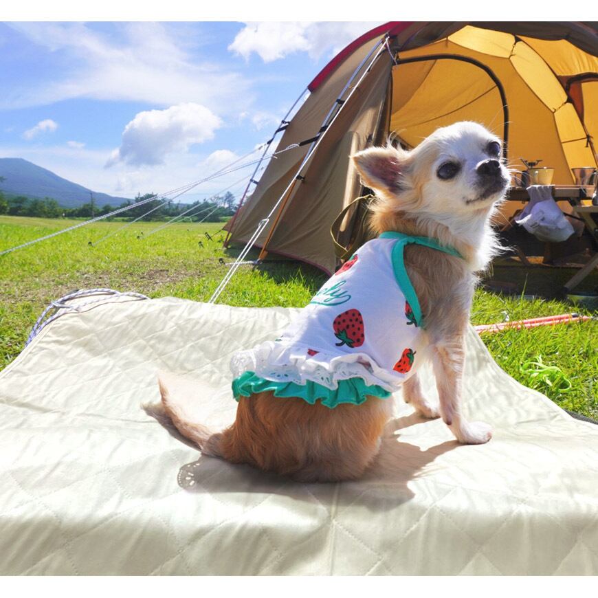 ホルミシス敷きマット 防水 水色 ペット・介護用品・車運転時のシートにも