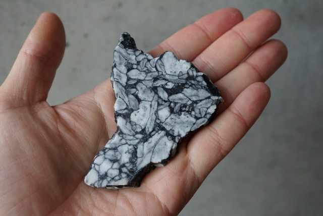 ピノライト Pinolite 904