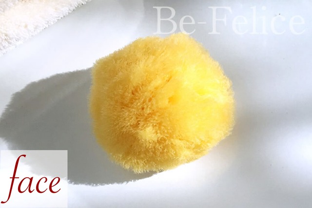ベリーニ　シースポンジ（天然海綿）　シルク種Sサイズ　約4～5㎝（FD5）