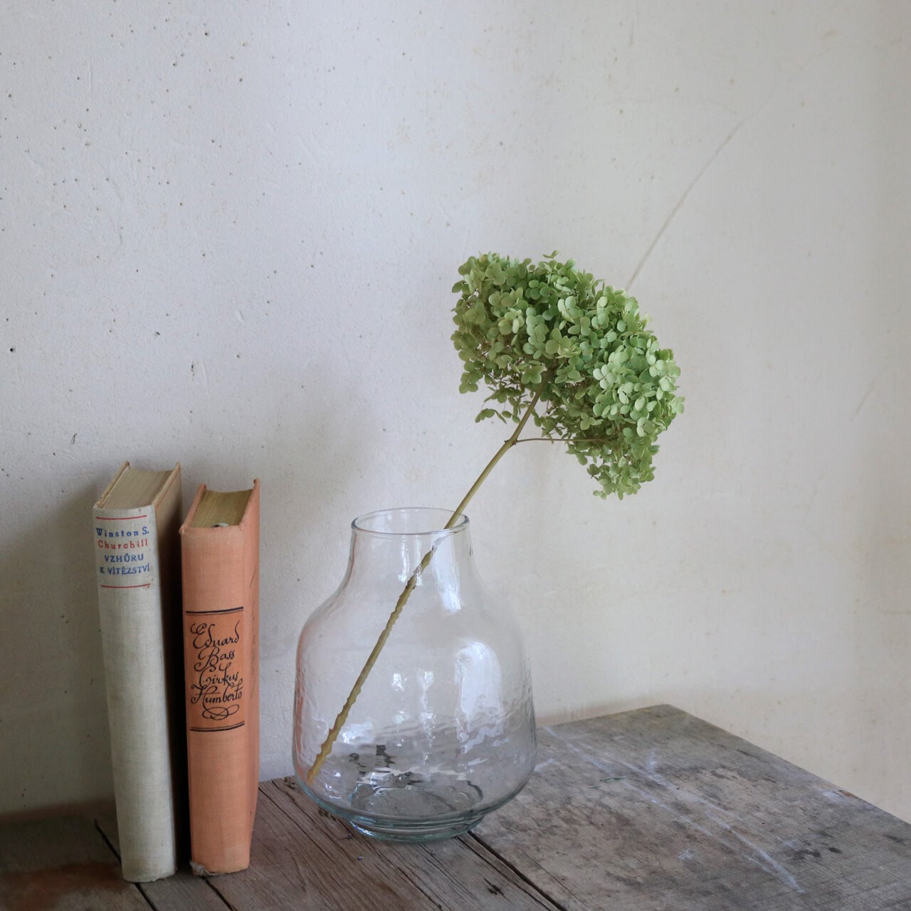 Sceneryvase シナリーベース B ◆ ガラス フラワーベース 花瓶 おしゃれ アンティーク調 ナチュラル インテリア 店舗 ディスプレイ シンプル レトロ ドライフラワー 枝もの あじさい