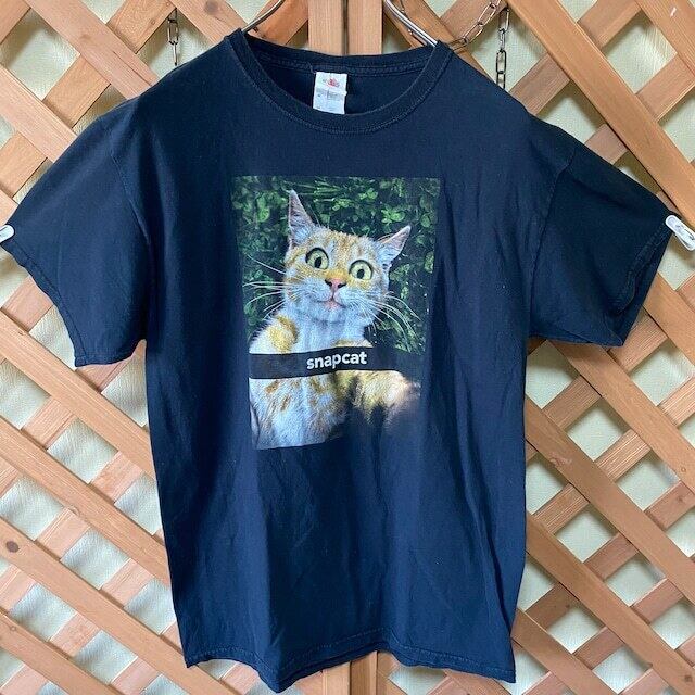 フルーツオブザルーム 猫 キャット アニマル tシャツ ブラック snapcat LUCKY BASE 古着屋