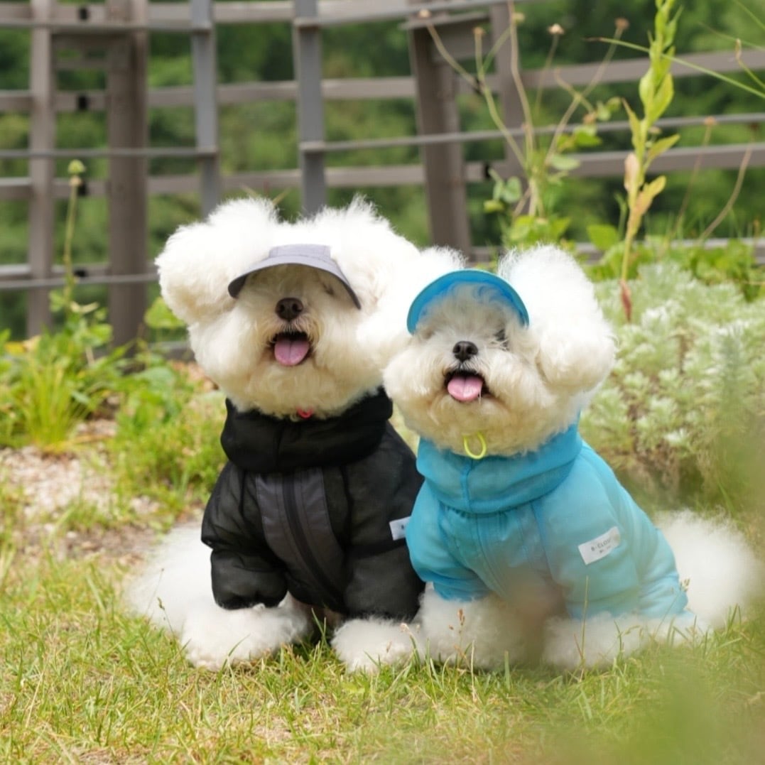 犬服ハンドメイド♡マーブル☆ 犬服ハンドメイド♡マーブル☆ マーブル