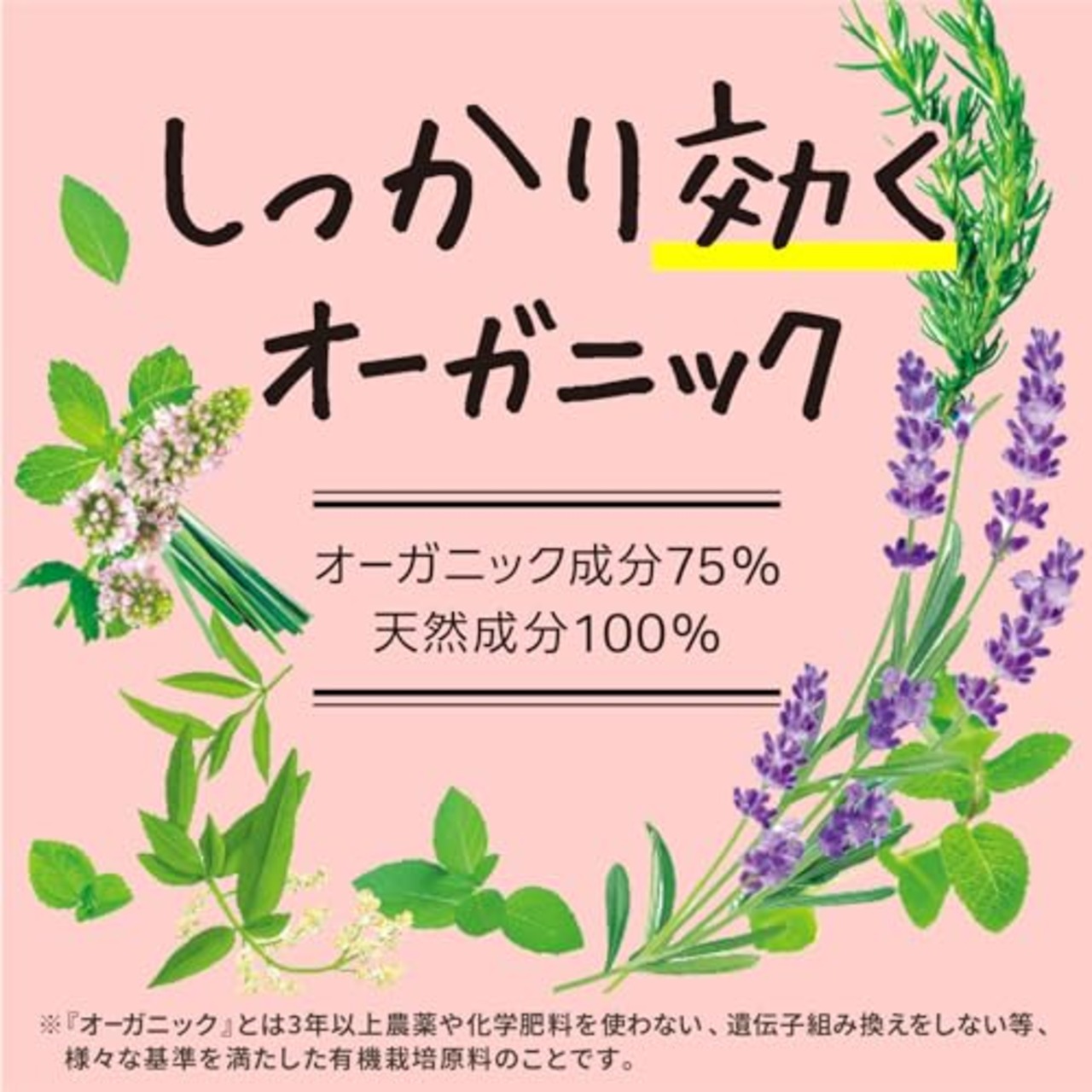 Natuvo ナチューヴォ 防虫剤 吊り下げ 衣類 クローゼット用 香り付き オーガニック 3個入 オーガニック 防虫 芳香 消臭 赤ちゃん