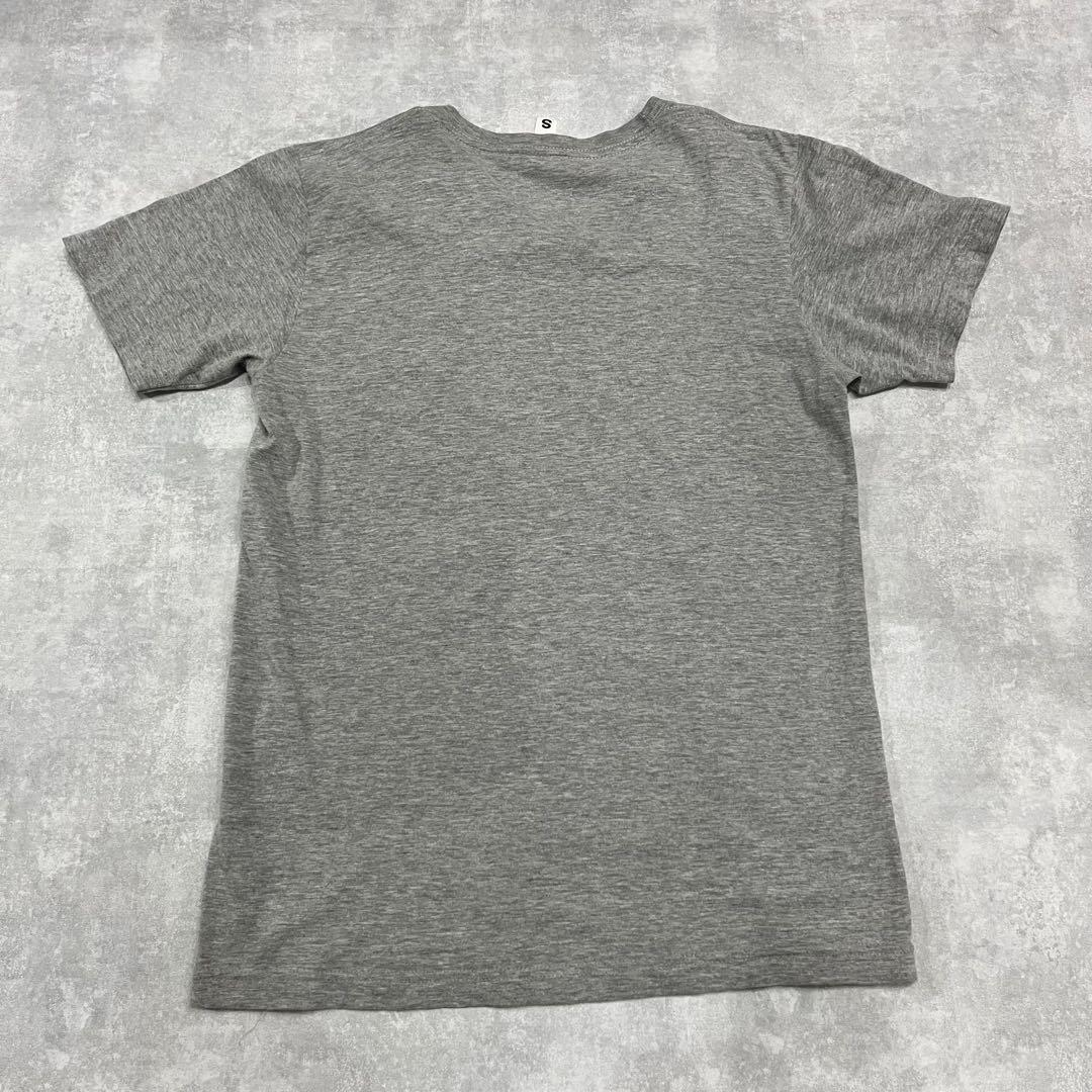 S DOUBLE S/DBL Tシャツ ショーン ステューシー グレー usa製 | CHASE