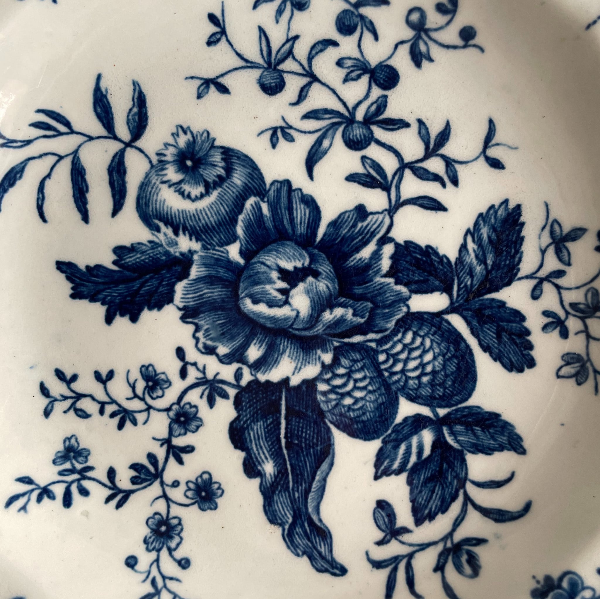 18世紀 Worcester 青花絵皿｜ウースター ドクターウォール期 | SASHIIRO