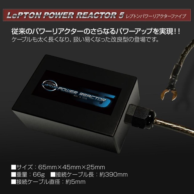 燃費向上グッズ レプトンパワーリアクター5 車 静電気除去 トルクアップ パーツ