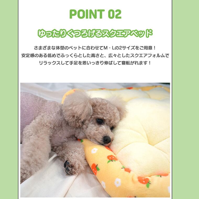 tangerine bed M size / 犬用 ベッド スクエア Mサイズ ふんわり 冬 クッション 滑り止め 韓国 ペットベッド 小型犬 中型犬 犬 ハウス 柔らか ふわふわ ソファー ボア もこもこ可愛い