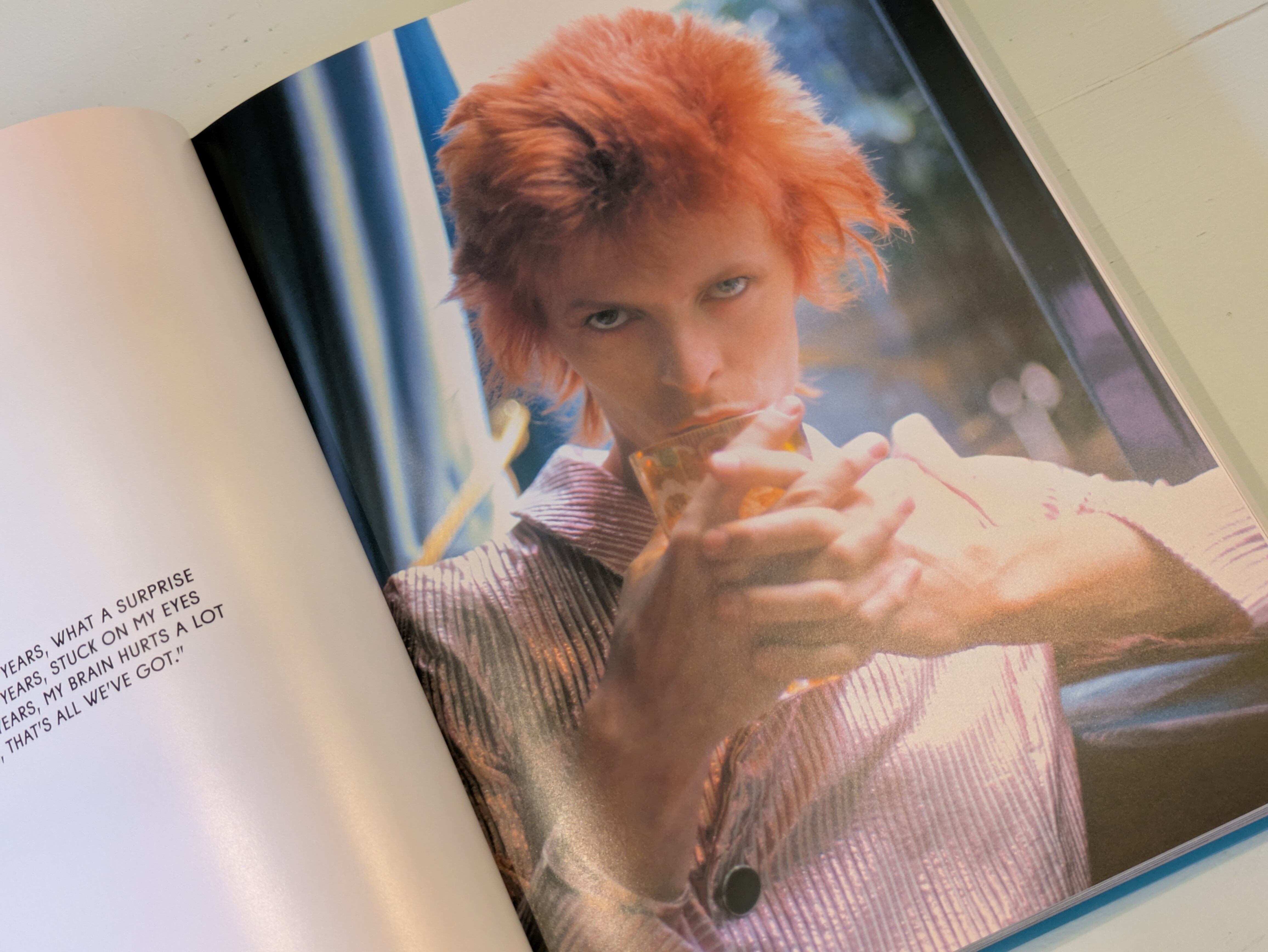 The Rise of David Bowie 1972–1973 : Mick Rock / デヴィッド・ボウイ