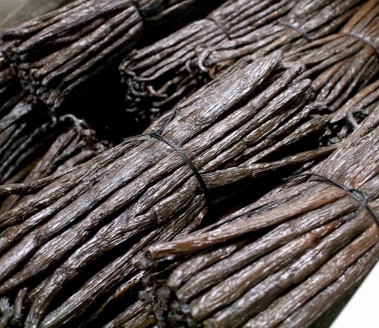 New EC限定 到着日 4月11日(土) ショコラデュオ バニーユマダガスカル 抽選申込 画像1