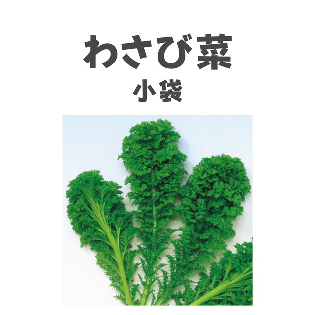 わさび菜　葉野菜種子・小袋