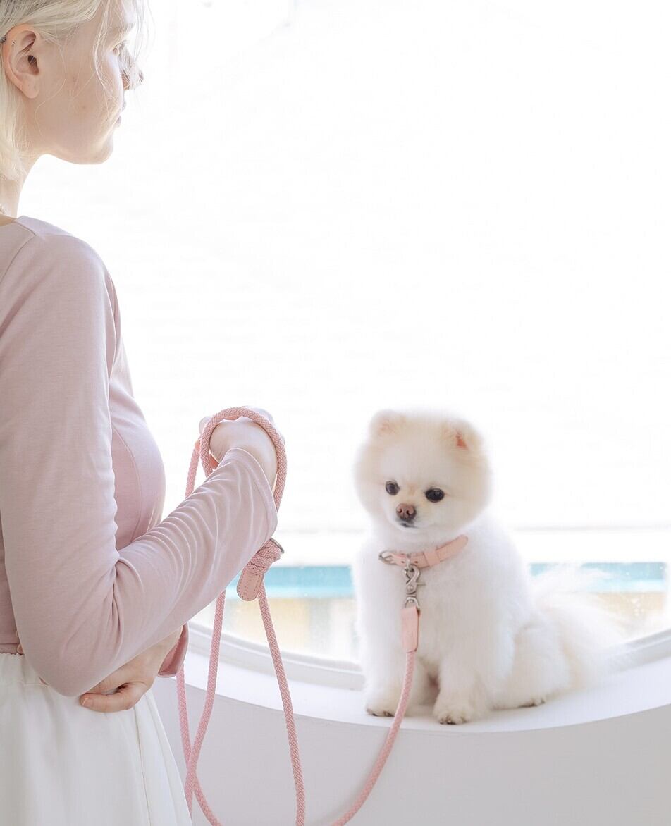 即納【stroll】Rope Leash Slim (Pink)
