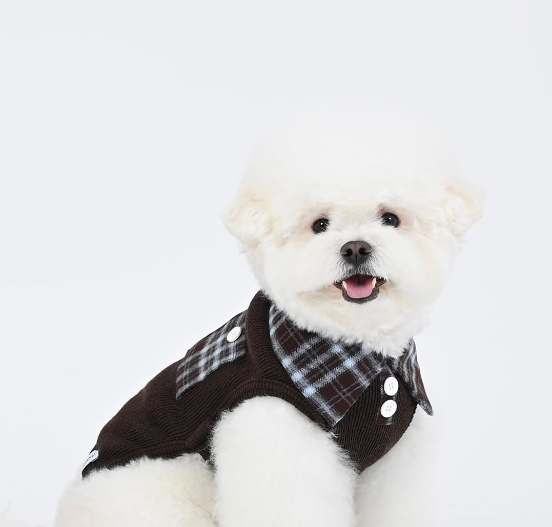 足を通さない襟付きシャツ ‐ (BROWN)