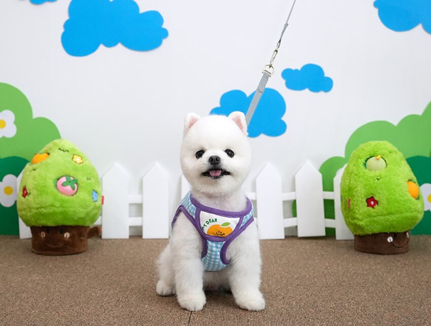 fruits bib harness S ~ L 2color  /  犬 犬用 ハーネス リード セット 小型犬 中型犬 ドッグウェア ペット用品 胴輪 お出かけ ドッグウェア b59