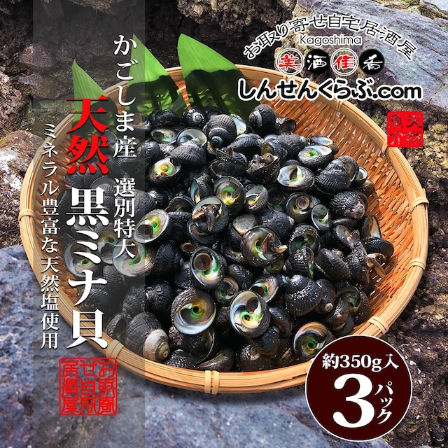 鹿児島産　塩ゆで黒ミナ貝　350g入×3パック