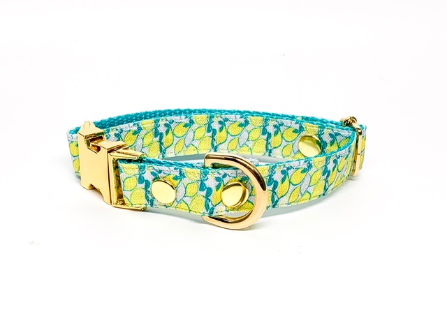 Collar (Lima)