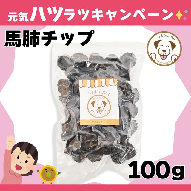 【月間お買い得】馬肺チップ 小さめ2cm 100g (27.9.30)