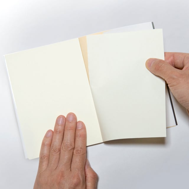 文庫型メモ帳 セキセイインコ学習帳（じゆうちょう） | TOMOYAMASHITA