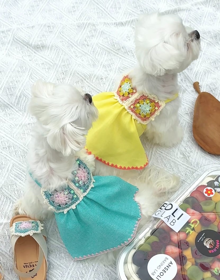 予約【lebooleboo】Tropical Dress (2Color)