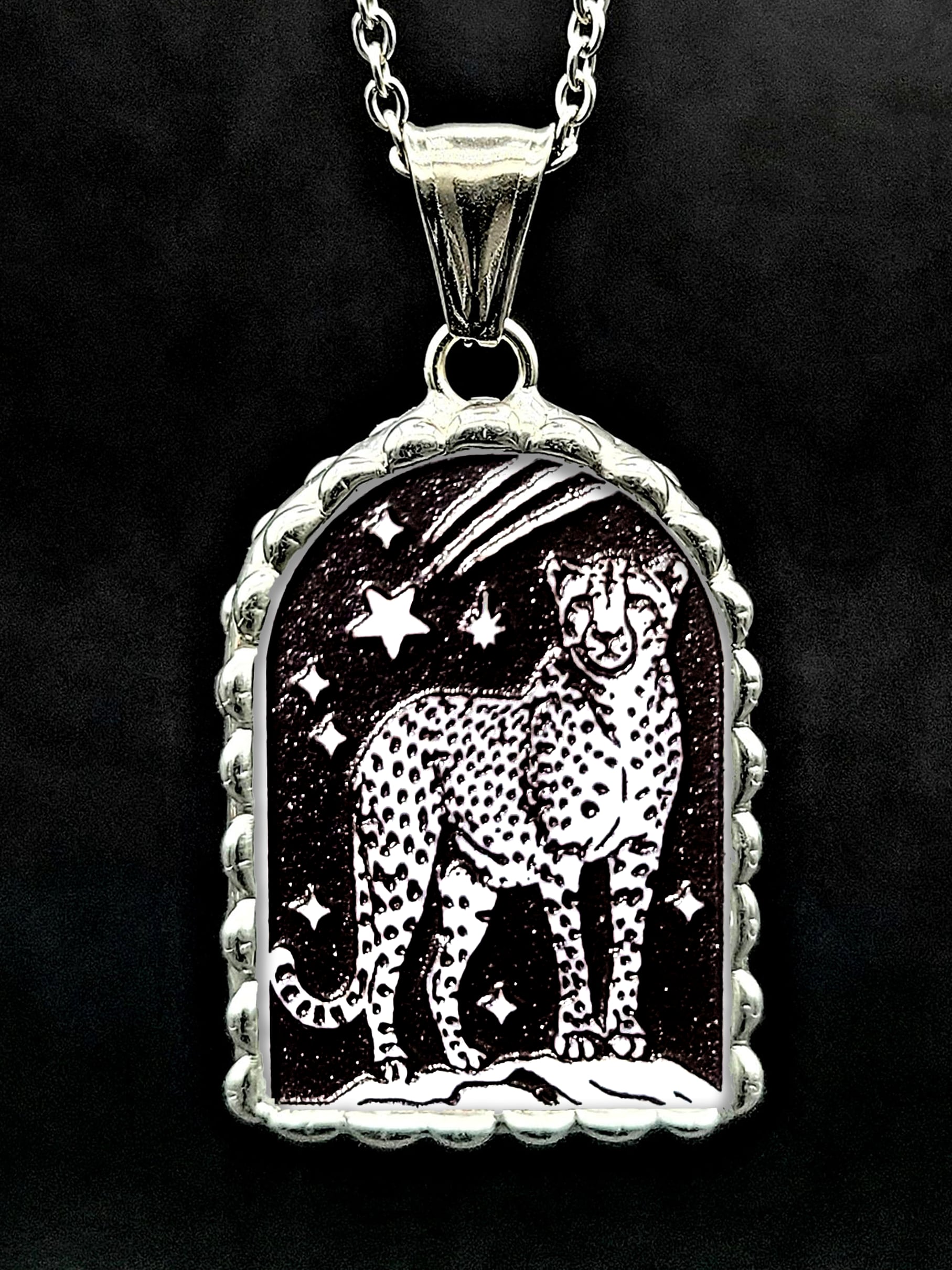 月窓 - チーター