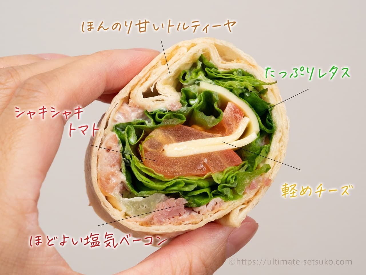 BLTハイローラー21個入り | sancos