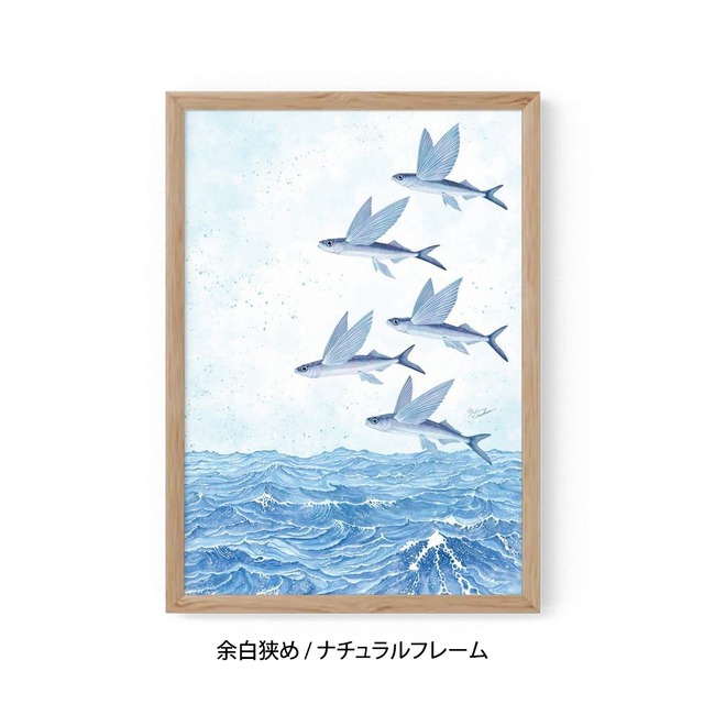 A3｜魚翔海図（ぎょしょうかいず）（フレームあり）