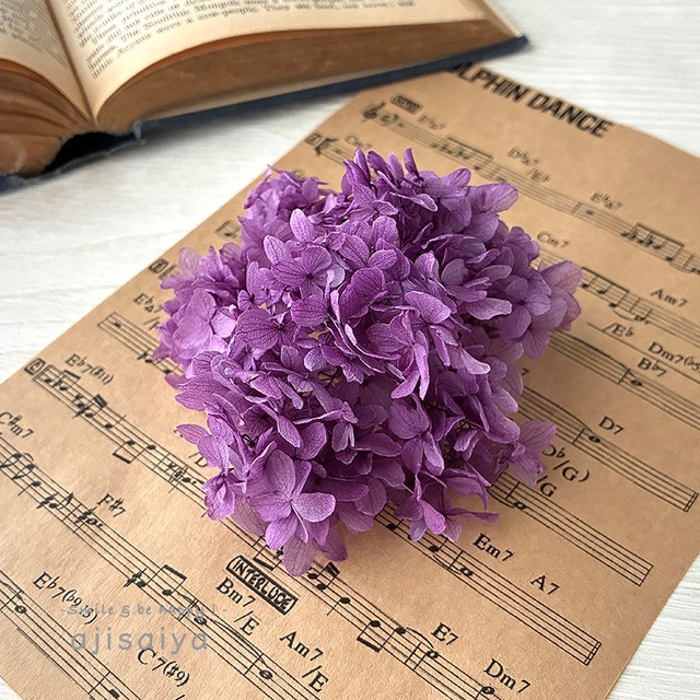 【数量限定】やまあじさい　てまり咲き　ラベンダー　【 プリザーブドフラワー 】 紫陽花　あじさい　アジサイ
