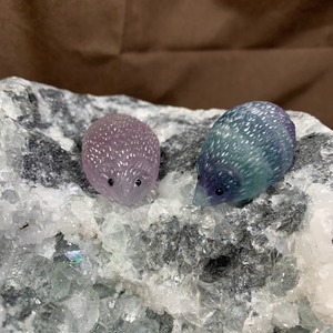 一点物★ハリネズミが住み着いている美しいフローライト原石クラスター