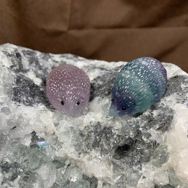 一点物★ハリネズミが住み着いている美しいフローライト原石クラスター