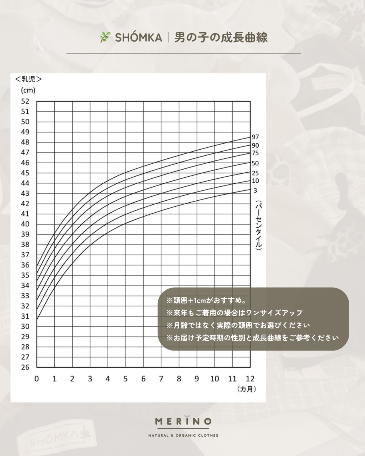 【26SS】SHOMKA / JERBOA BONNET or HAT