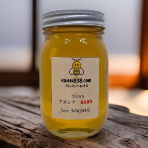 2023 長野県産アカシアのハチミツ ６００g