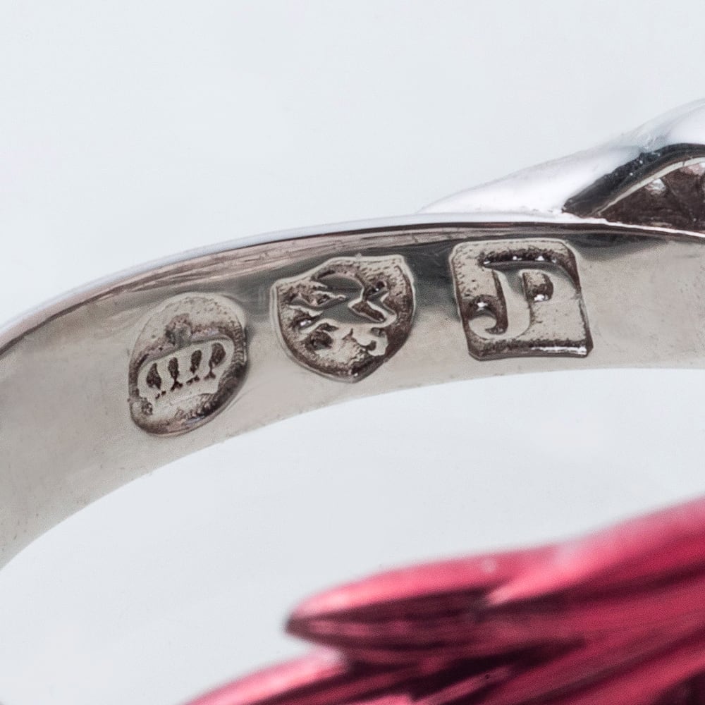 指輪売り上げランキング6位赤彩ウイングリング 指輪 AKR0077 Red
