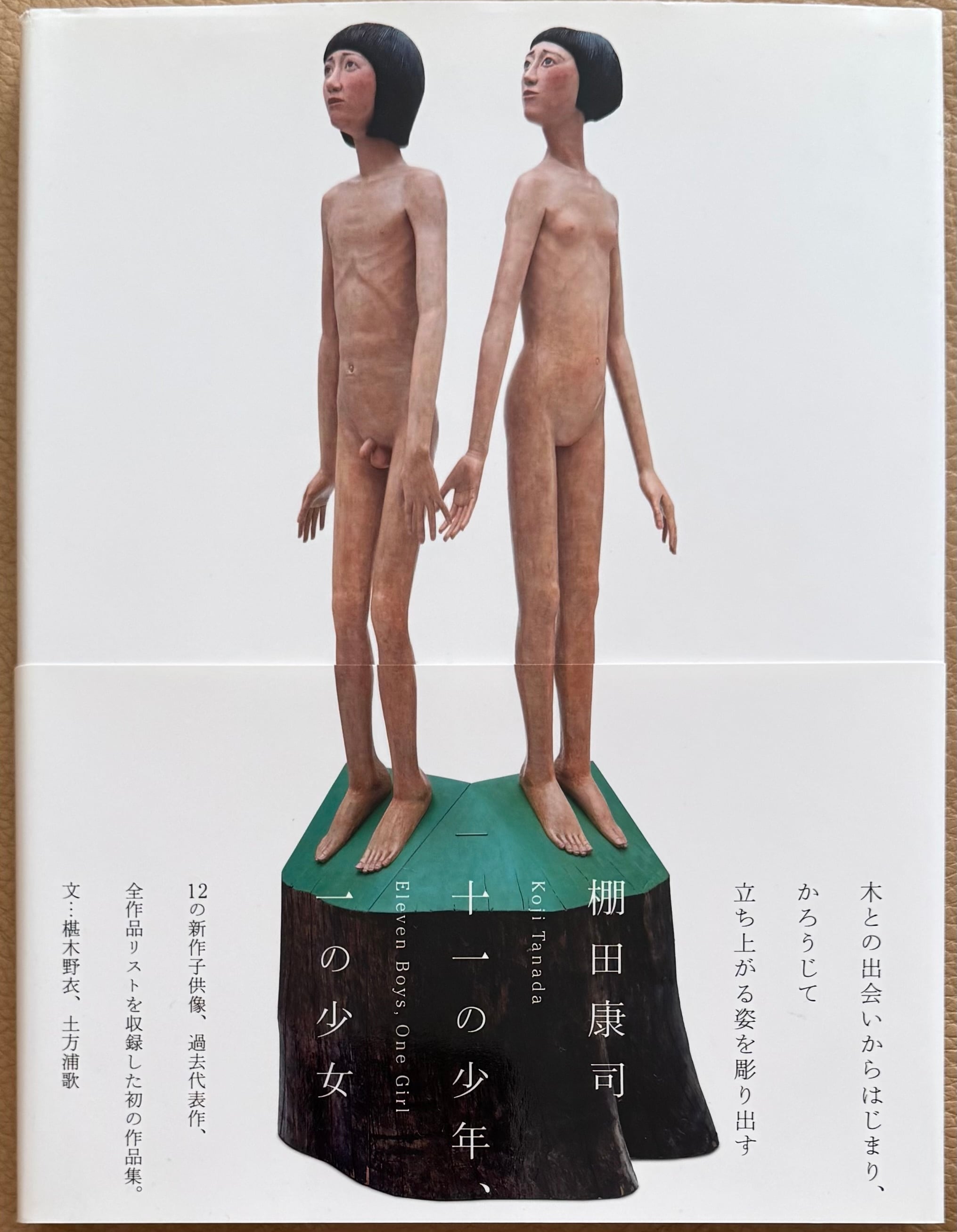 標本箱の少年 建石修志画集 | ART BASE 山田書店