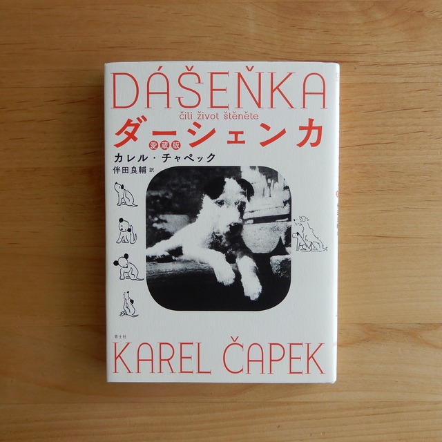 【古本】ダーシェンカ 愛蔵版