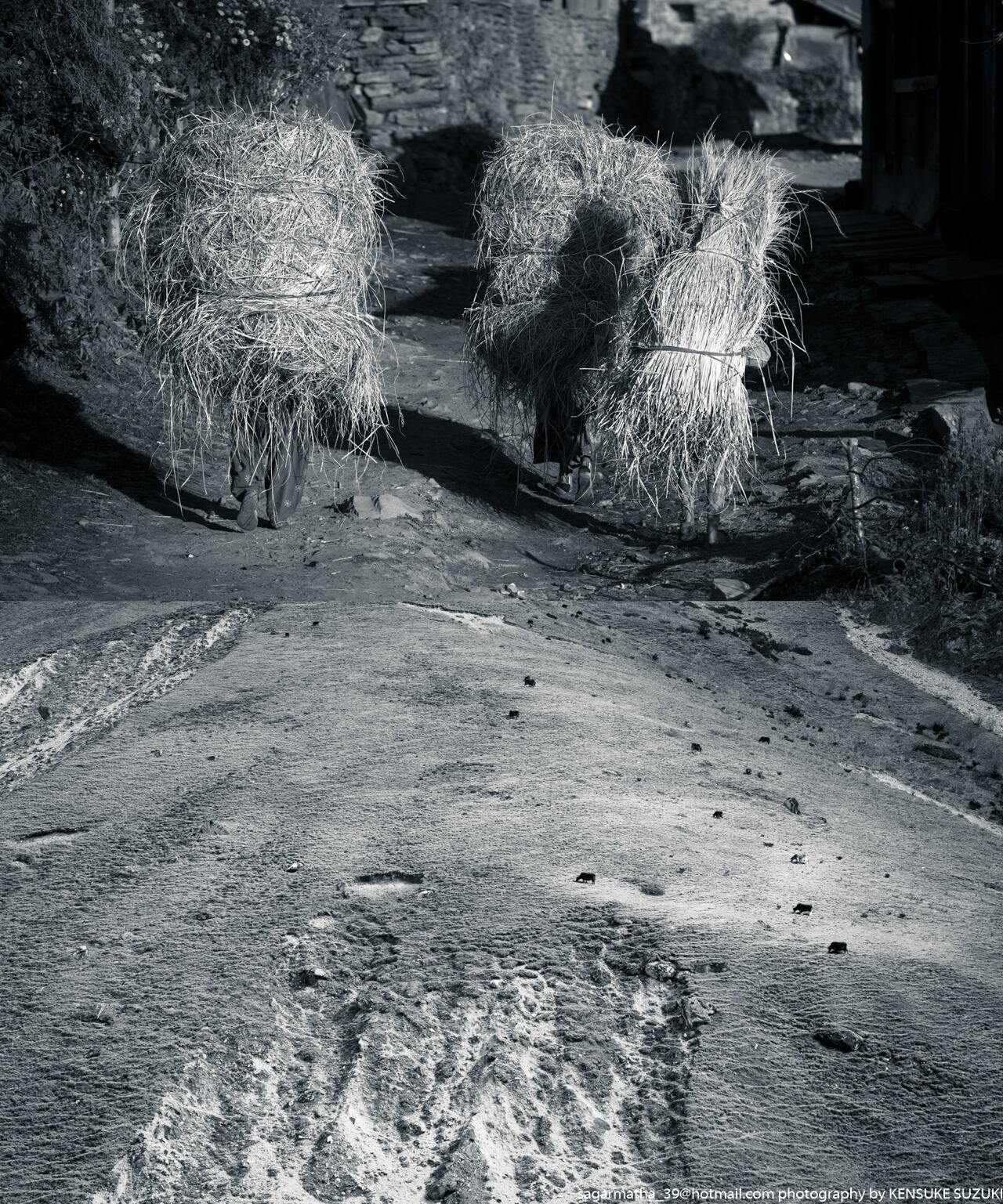 Landscape-048(ワイド四切)