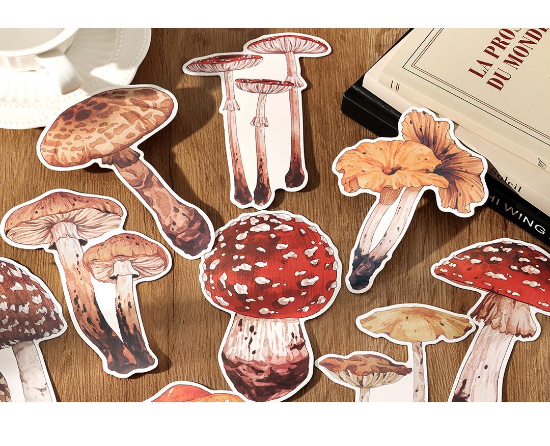 ポストカード 規格外（ハガキとしては使用できません。） きのこ愛