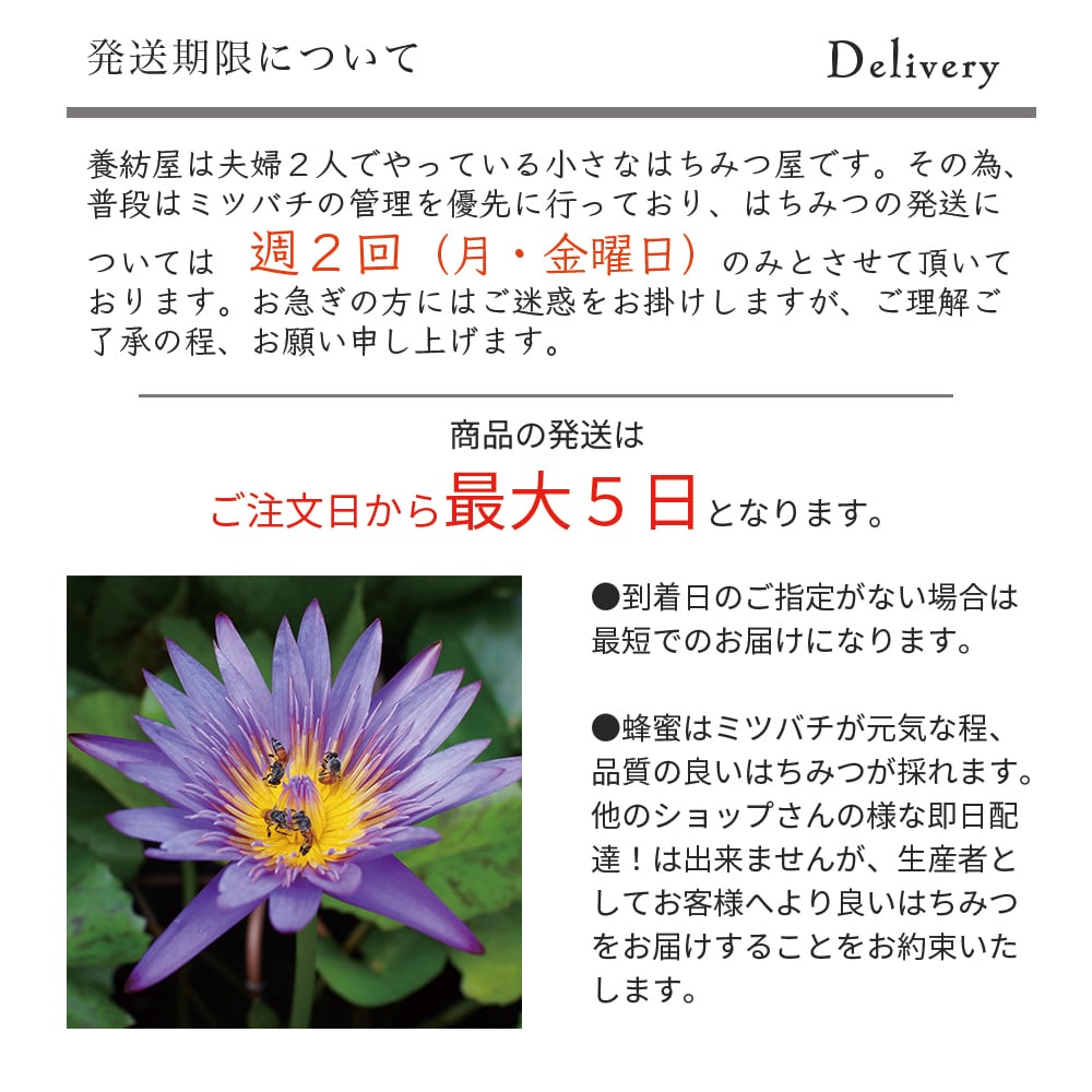 2026年 新蜜】国産みかん蜂蜜 450g | 非加熱 | 抗生物質不使用