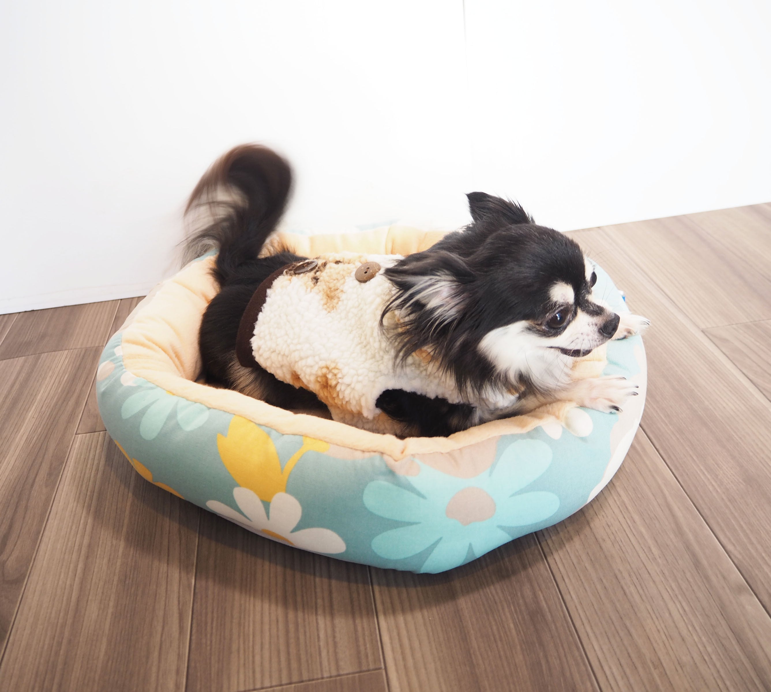 【ドッグウェア】モコモコくまジャケット ホワイト/ブラック