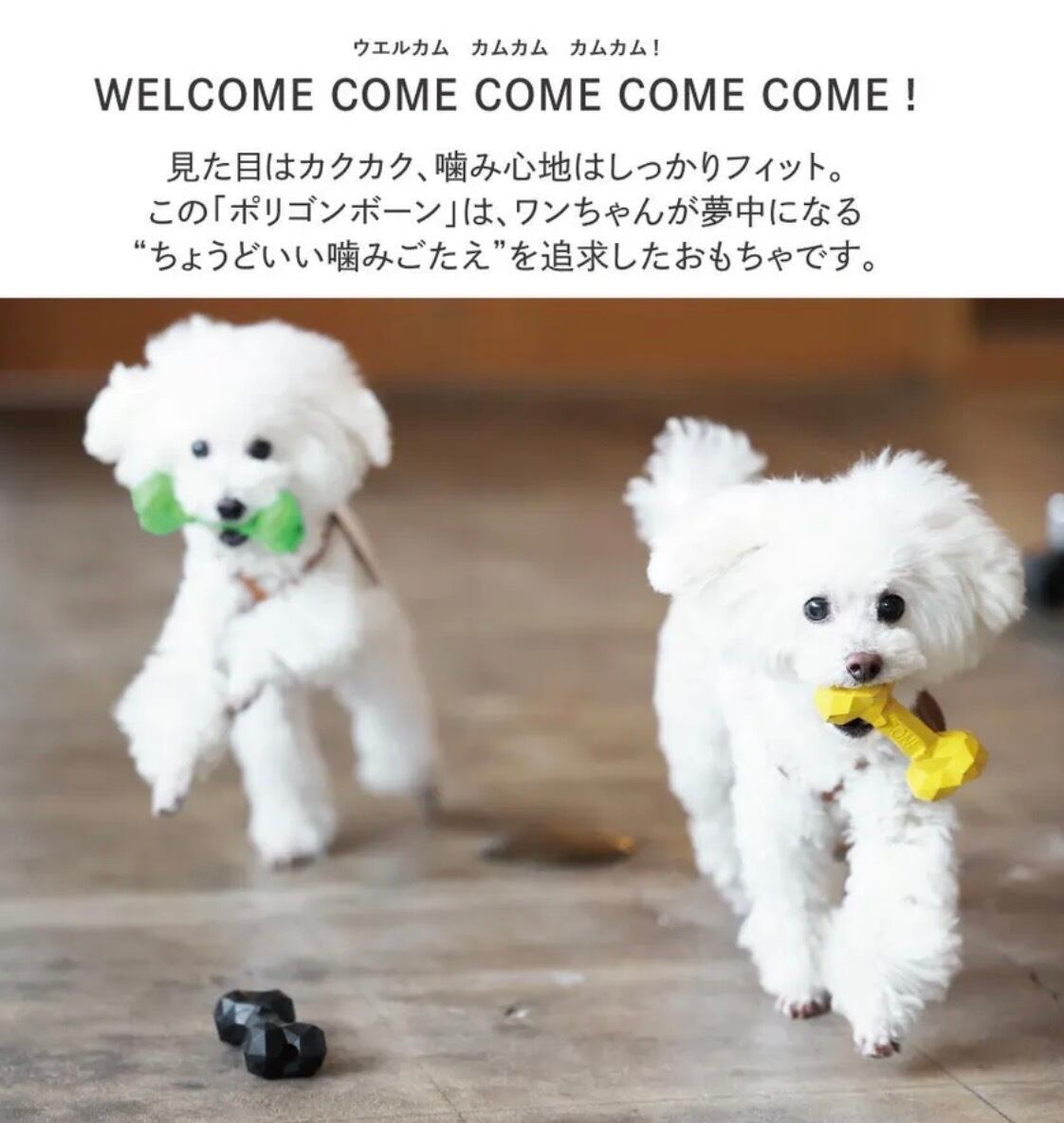 【PETOY】BONE BONE BONE（ボーン ボーン ボーン）見た目はカクカク、噛み心地はしっかりフィットするおもちゃ