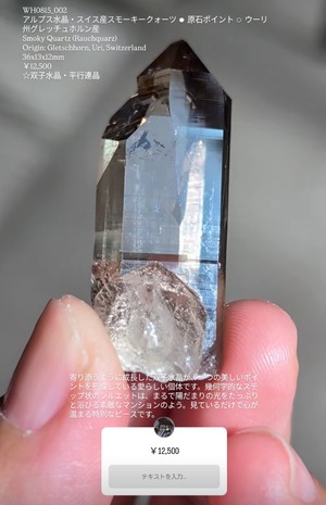 ⭔ お客様専用ページ ✦ tomo03festai