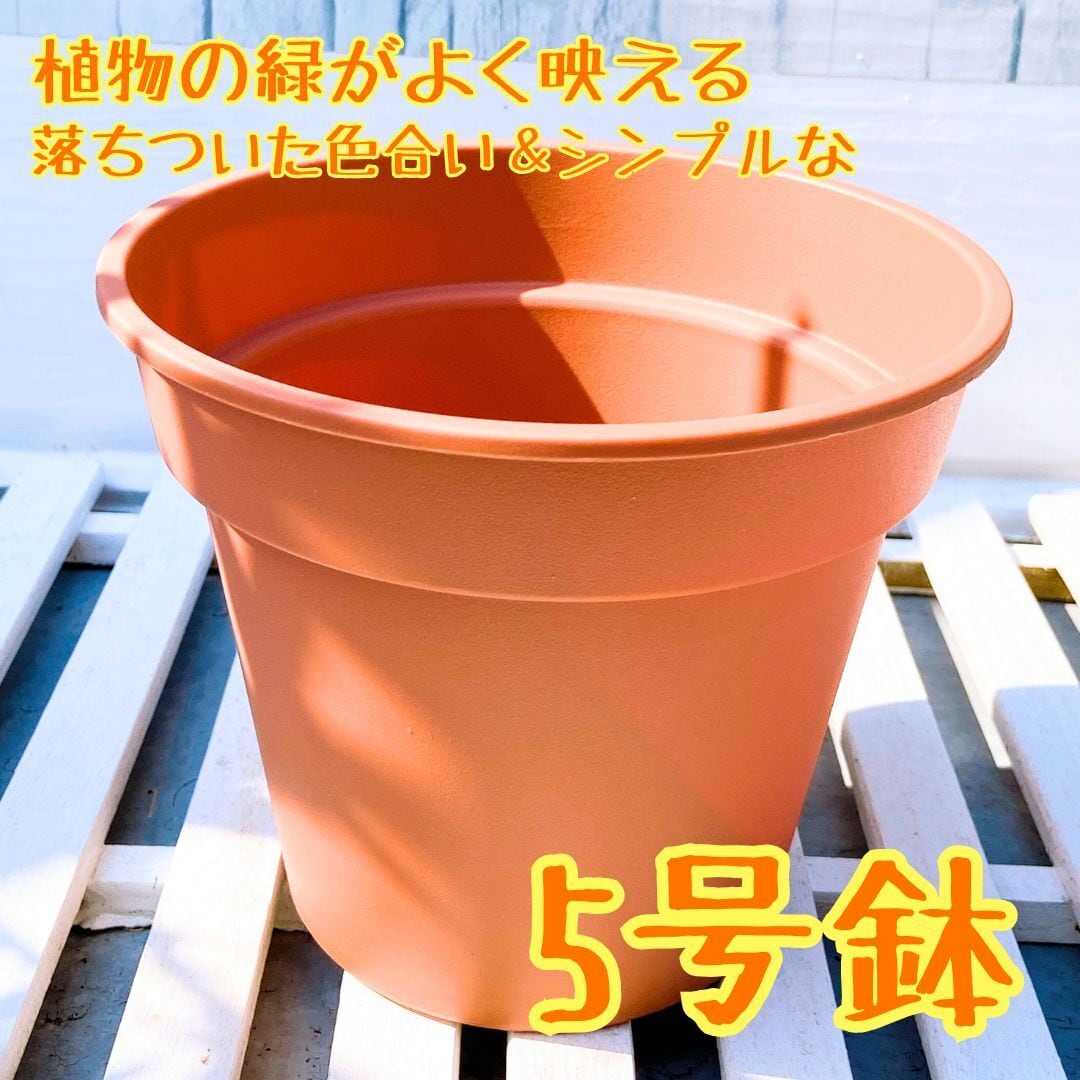 茶色のシンプルな植木鉢 5号サイズ 】 植物の緑をより引き立てる