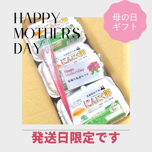 【Happy　Mother′s　Day】早割　母の日ギフト！！10％OFF【～4/30（火）までのご注文限定】　絶品たまごギフトセット  にんにく卵　18個（6個入り×3パック）