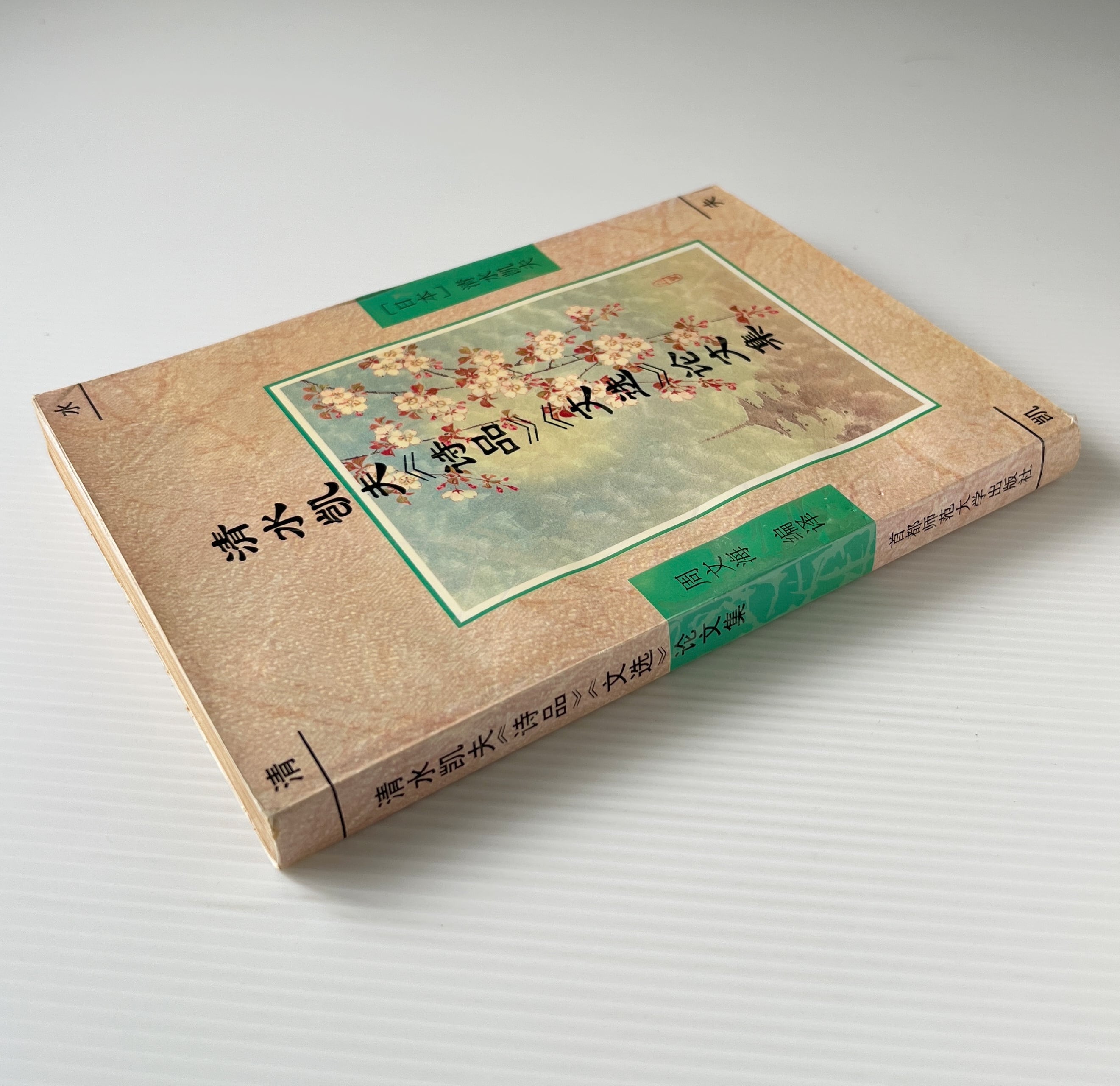 清水凱夫<詩品><文選>論文集 周文海 編訳 首都師範大学出版社