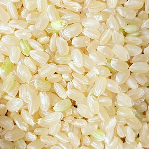 大自然米【5kg】玄米