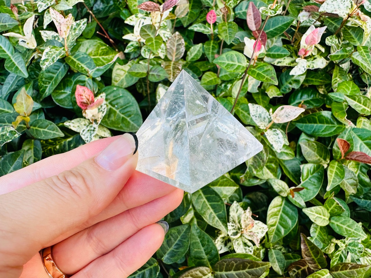 はかどるちゃん12