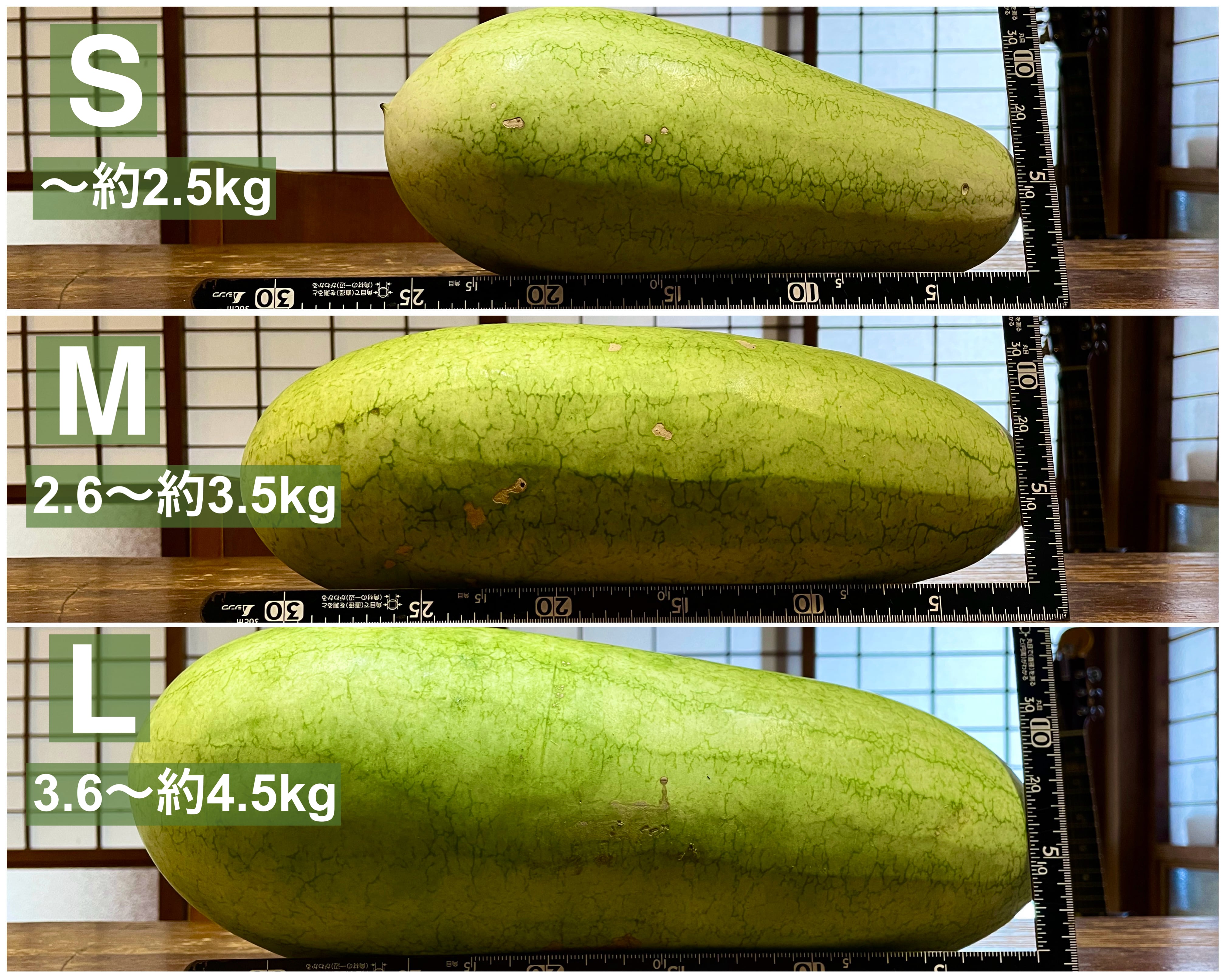 自然栽培】坊津の伝統野菜 寝太郎スイカ (Mサイズ) | こころの野菜