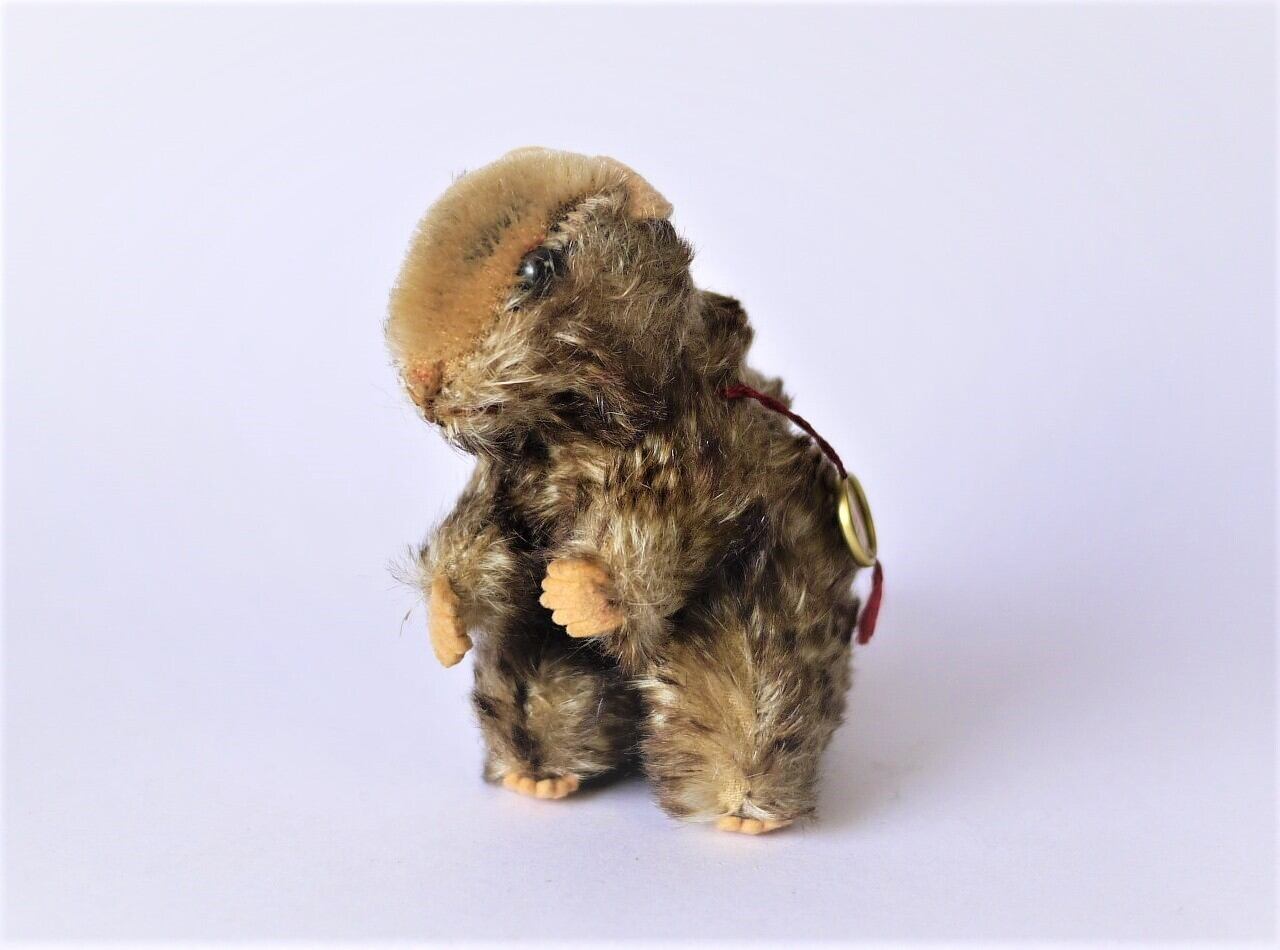 ハーマンテディー マーモット HERMANN Teddy ORIGINAL