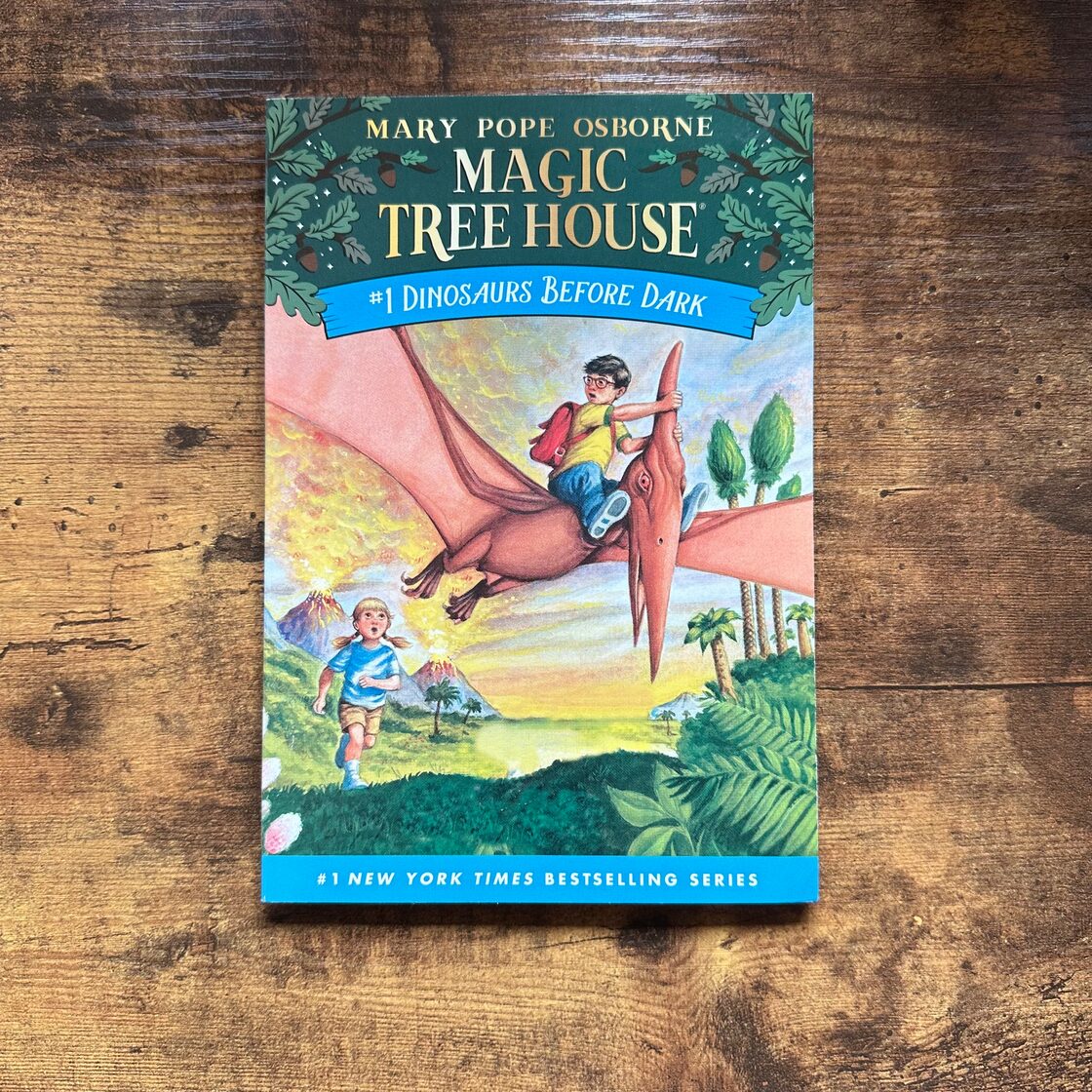 SH】洋書古本『Magic Tree House #1 Dinosaurs Before Dark 』 Mary 