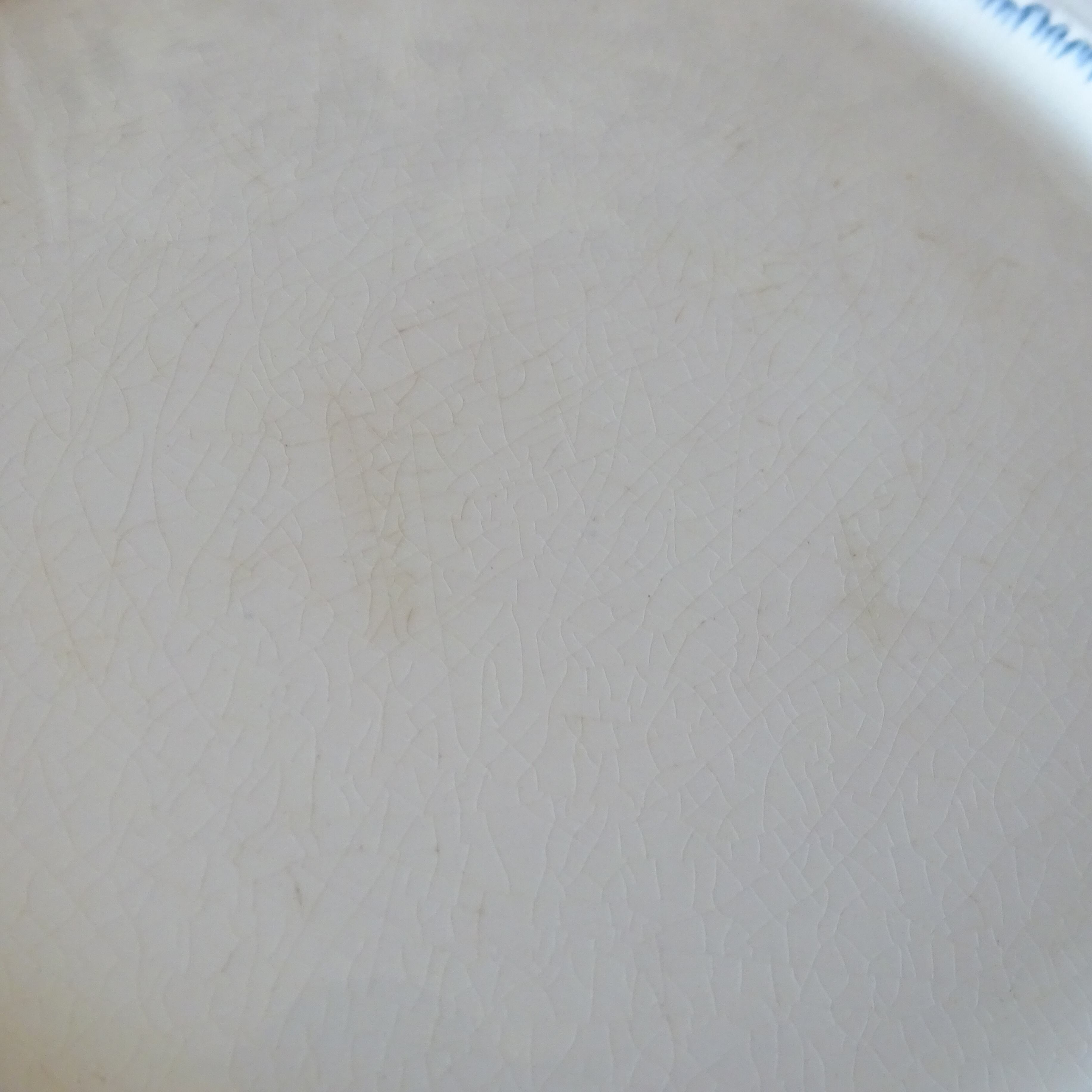 【 Nouveauté 】☆U & C SARREGUEMINES modèle《AÏDA》assiette plate (C)