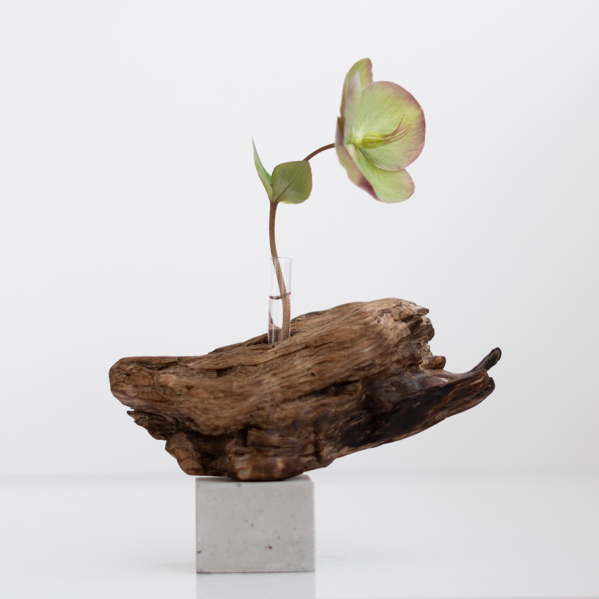 世界にたったひとつあなただけの流木一輪挿し | driftwood flowervase